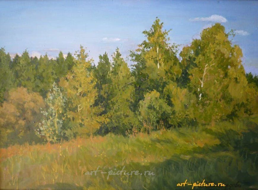 Лето холст,масло