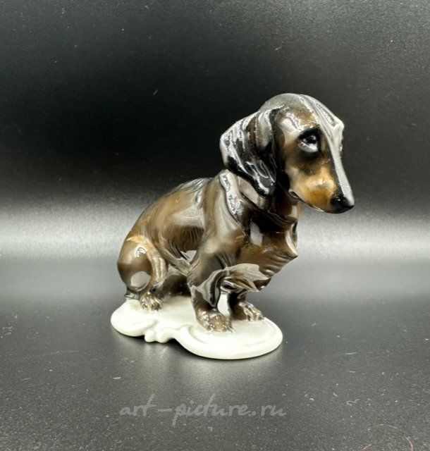 Фарфоровая статуэтка  такса. Германия. Розенталь Rosenthal