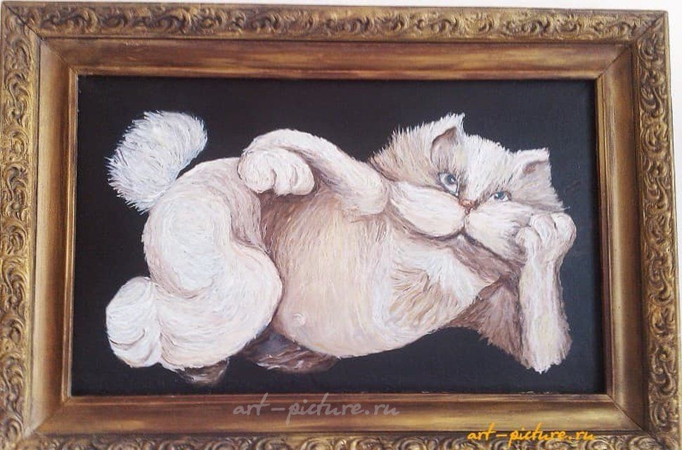 Кот масло холст
