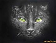 "Коть" акриль,акварельная бумага 