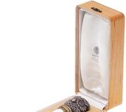 Серебряная ручка для трости с эмалью и каменной головой собаки