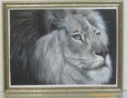 Лев аэрография, бумага 