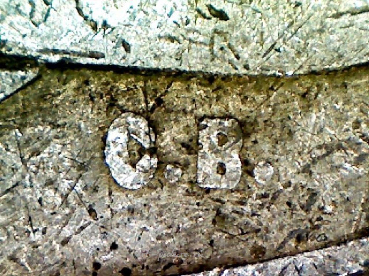 Russian silver , Rigascher gartenbauverbein 1894