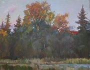 Луч закатный. Холст, масло. 50 х 60 см