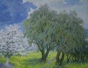 Яблоня цветет. Холст, масло. 53 х 60 см
