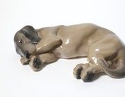 Такса. Дания, г. Копенгаген, Royal Copenhagen