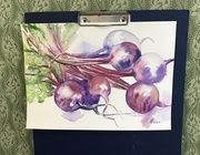 Свекла