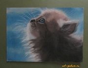 Котенок сухая пастель, бумага 