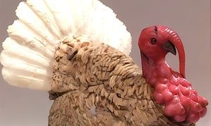 Камни, которые не молчат: военное искусство Денисова-Уральского