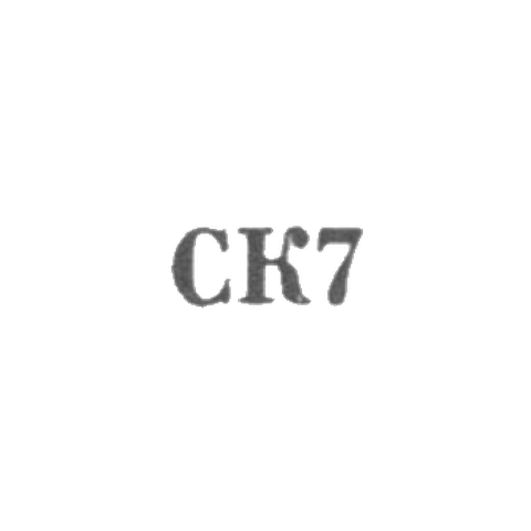 Сумгаитский комбинат бытового обслуживания - "СК7" - 1967