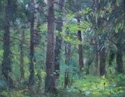 Лес. Холст, масло. 50 х 42 см