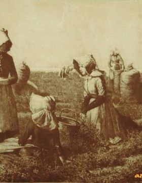 купить Отдых на гороховом поле гравюра на натуральной коже 