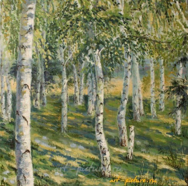 Березки масло, холст
