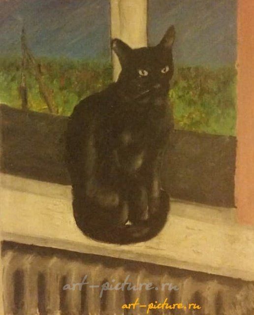 Кот на окне холст масло