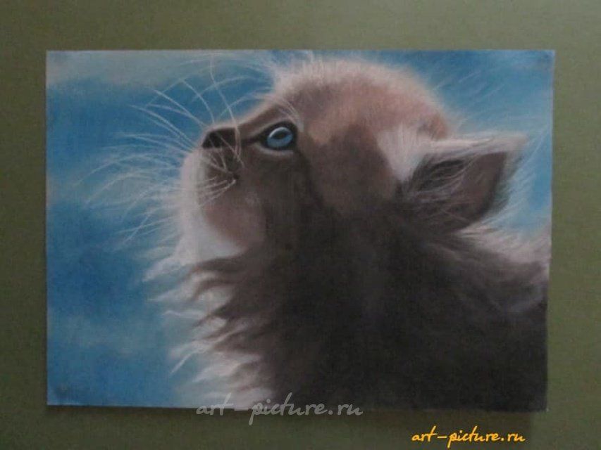 Котенок сухая пастель, бумага