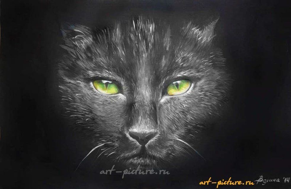 "Коть" акриль,акварельная бумага