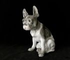 купить Cтатуэтка "Французский бульдог" Hutschenreuther Германия 1925-1929 год