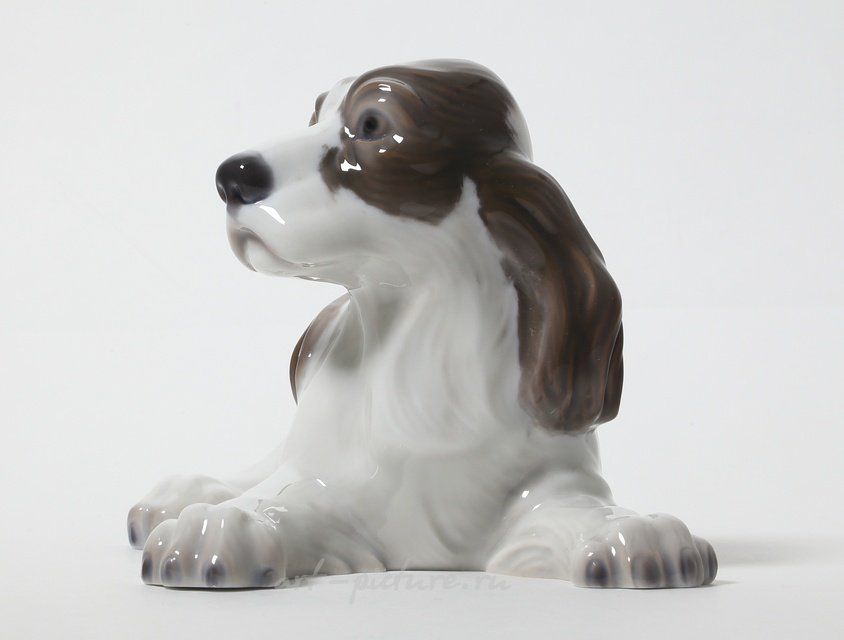 Спаниель. Дания, Lyngby Porcelæn