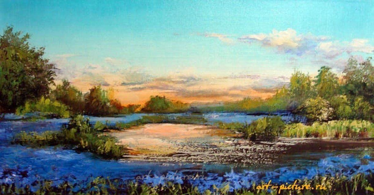 Васильковое поле масло,холст