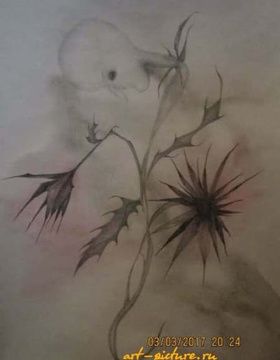купить Цветы акварель,карандаш,акварельная бумага 