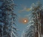 купить Ночной лес масло,холст