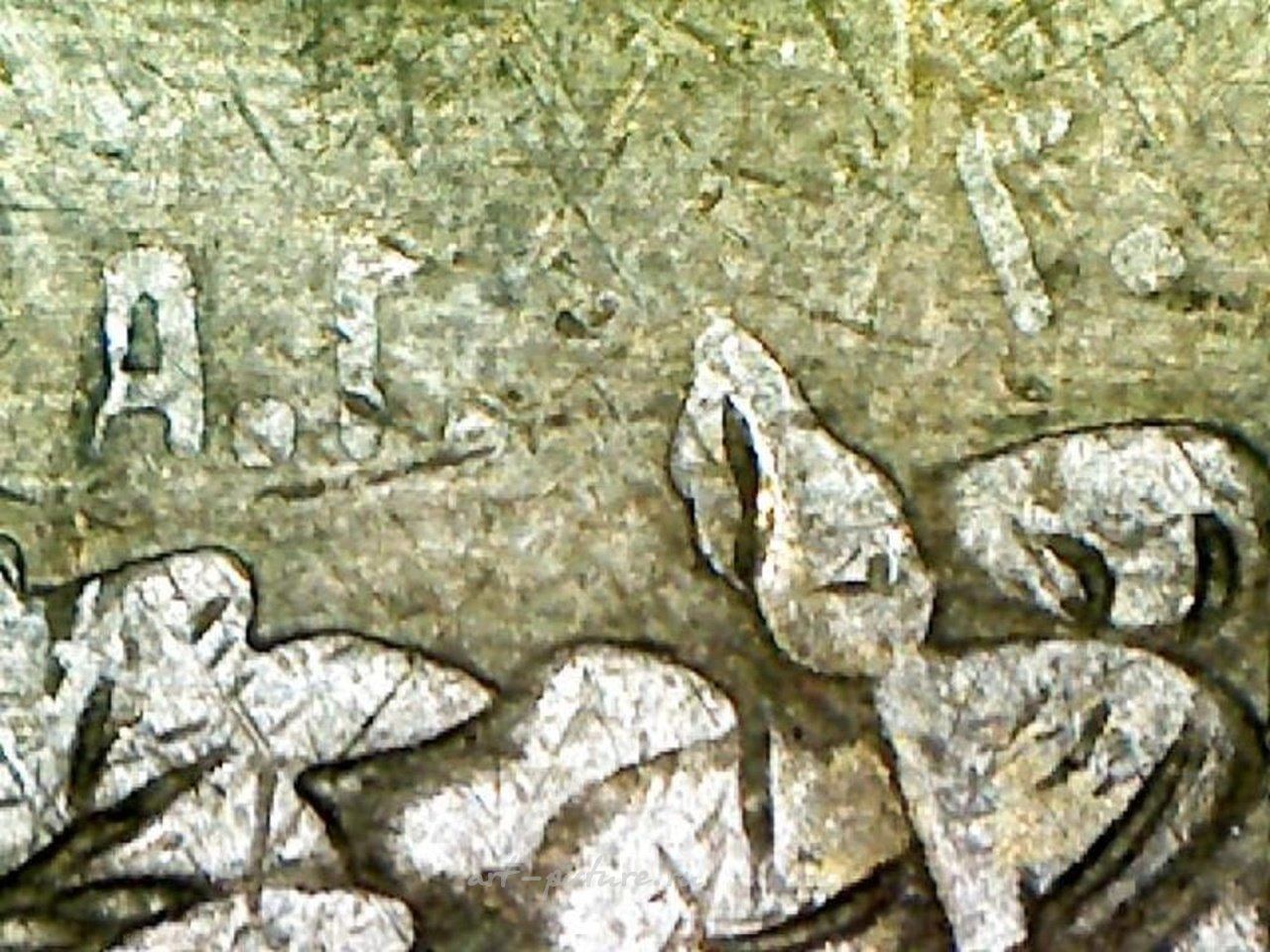 Russian silver , Rigascher gartenbauverbein 1894