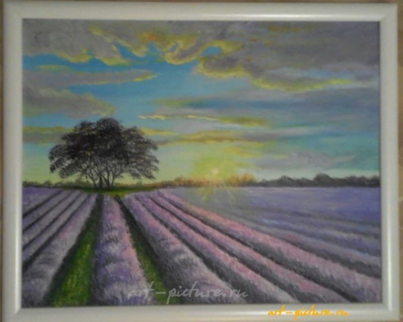 Лавандовое поле масло, картон,рамка