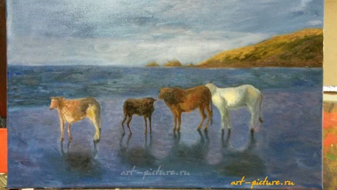 Гоанские коровы Масло, холст