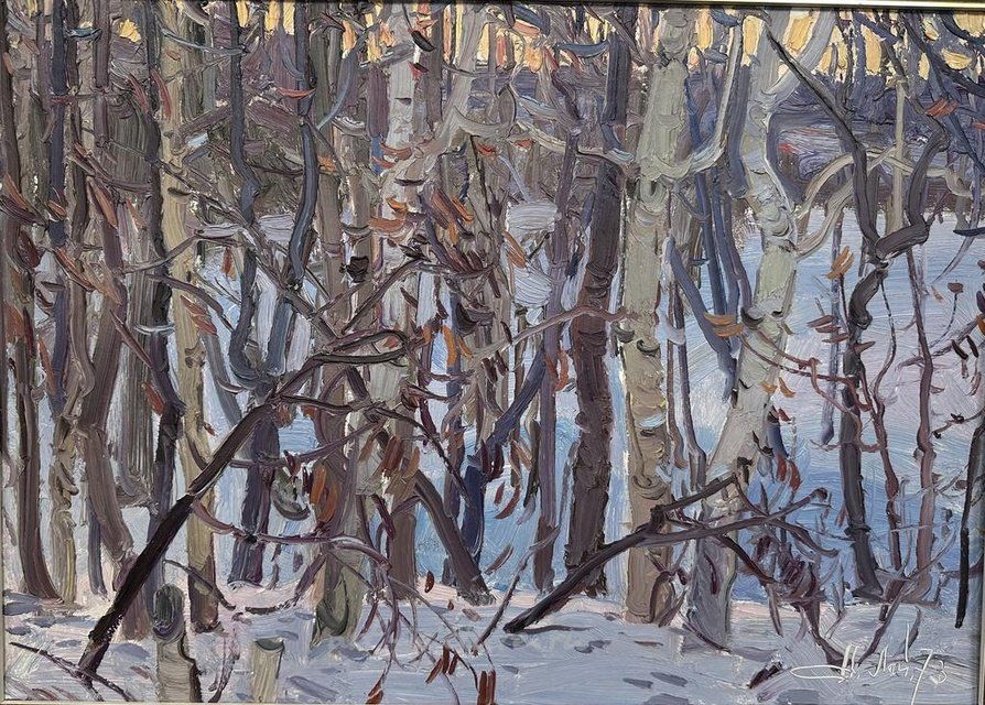 Зимний лес