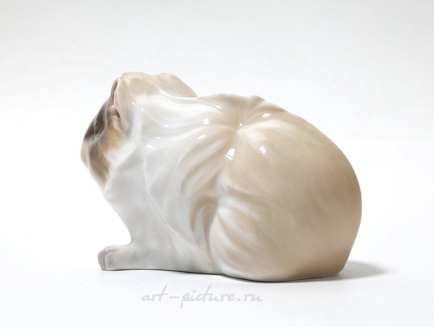 Морская свинка. Дания, г. Копенгаген, Royal Copenhagen, 1898-1923 гг.