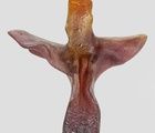 купить Экспонаты арт аукционов мира . Зима 23