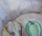купить Бруно с яблоком акварель, бумага 