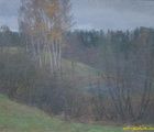 купить Пейзаж с березами. Картон, масло. 33 х 43 см