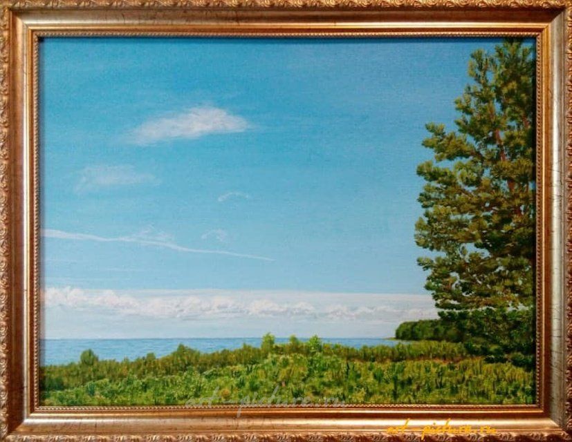 Сосна у моря Холст, масло