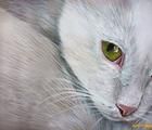 Статуэтка "Коть" акриль,акварельна…