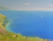 свободное плавание холст масло 